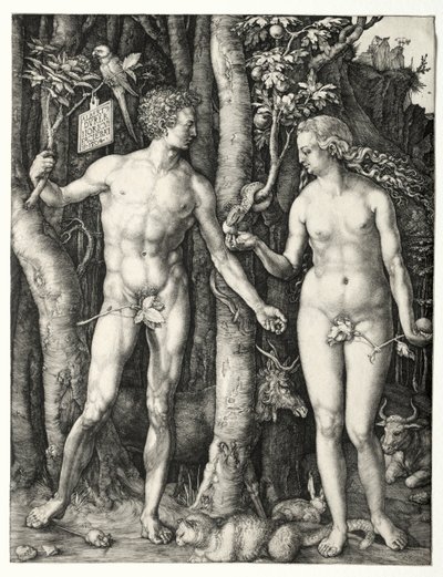 Adam and Eve, 1504 by Albrecht Dürer