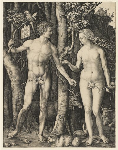 Adam and Eve by Albrecht Dürer