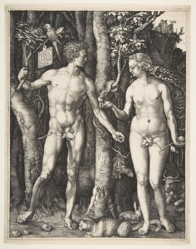 Adam and Eve by Albrecht Dürer