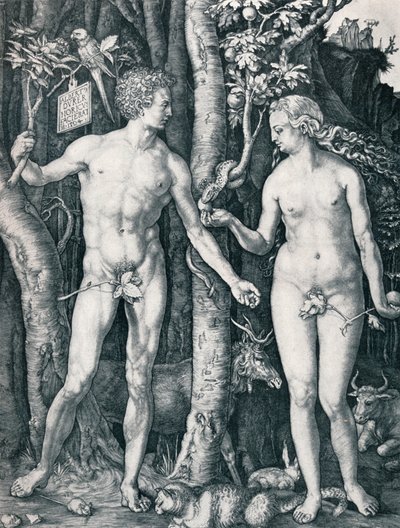 Adam and Eve by Albrecht Dürer