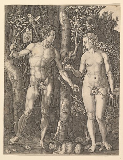 Adam and Eve, 1566 by Albrecht Dürer