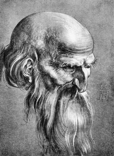 Apostle by Albrecht Dürer