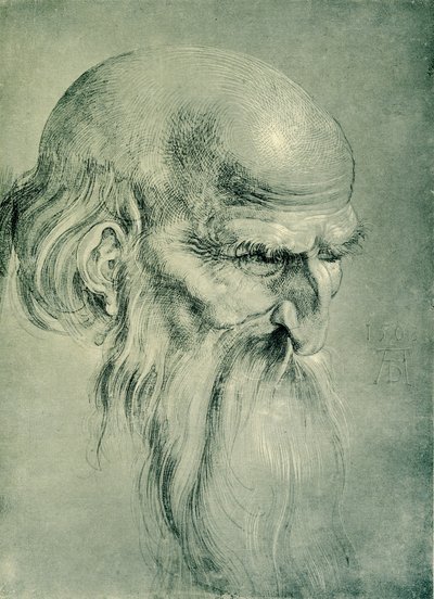 Apostle Head by Albrecht Dürer