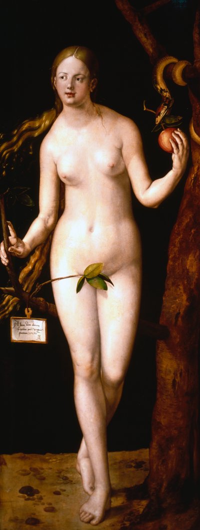 Eve, 1507 by Albrecht Dürer