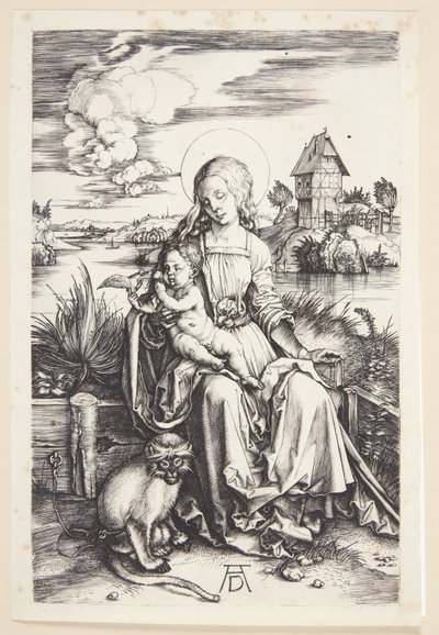 Madonna with the Monkey by Albrecht Dürer