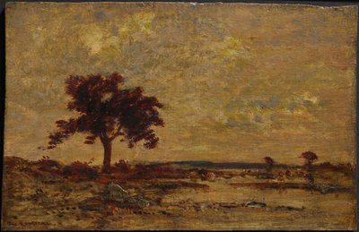 Marshlands by Albrecht Dürer