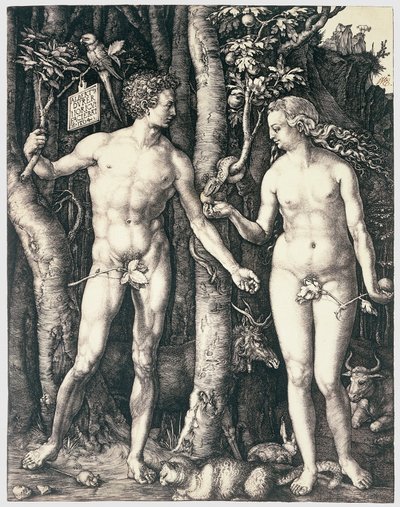 Original Sin by Albrecht Dürer