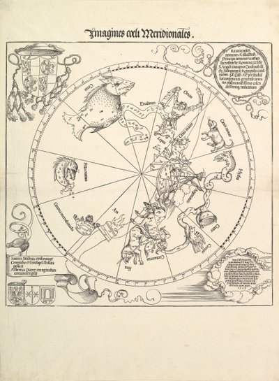 The Celestial Globe-Southern Hemisphere by Albrecht Dürer