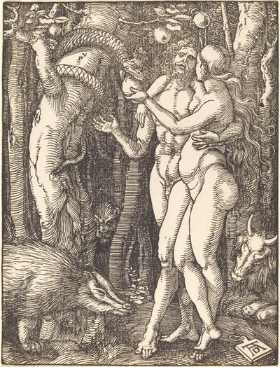 The Fall of Man by Albrecht Dürer