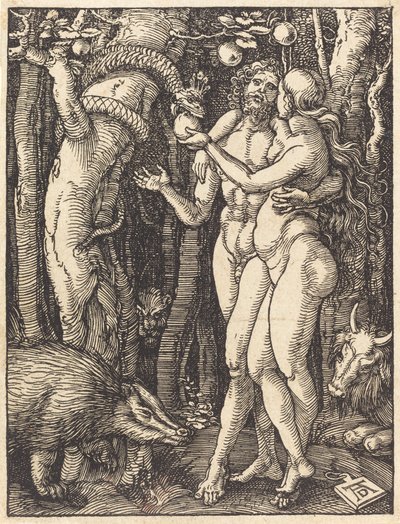 The Fall of Man by Albrecht Dürer