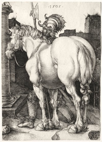 The Large Horse by Albrecht Dürer