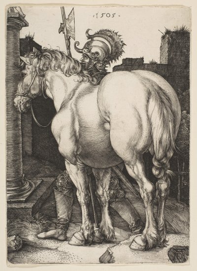 The Large Horse by Albrecht Dürer