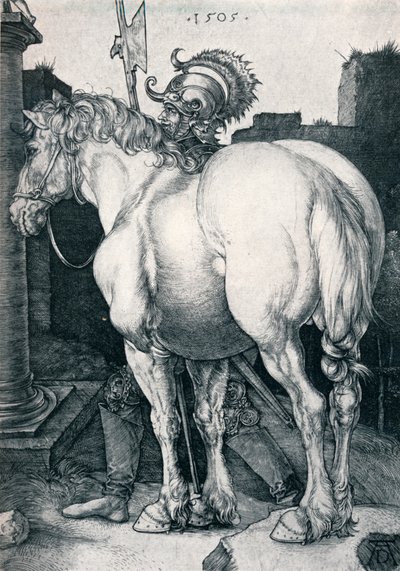 The Large Horse by Albrecht Dürer