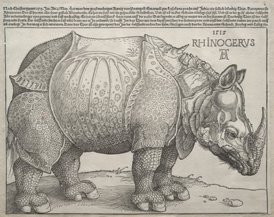 The Rhinoceros by Albrecht Dürer