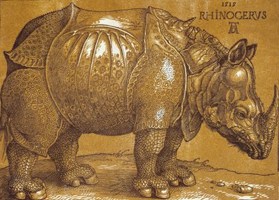 The Rhinoceros by Albrecht Dürer