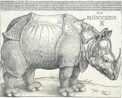 The Rhinoceros, 1515 by Albrecht Dürer