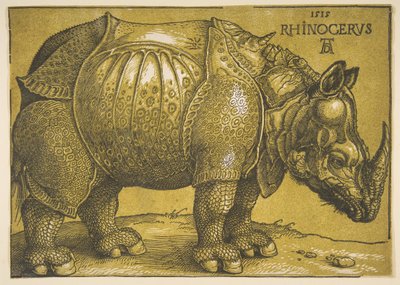 The Rhinoceros, after 1620 by Albrecht Dürer