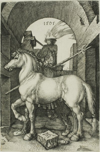 The Small Horse by Albrecht Dürer