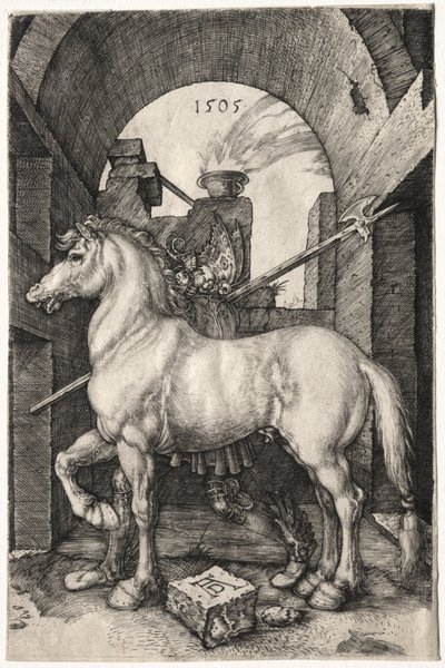 The Small Horse by Albrecht Dürer