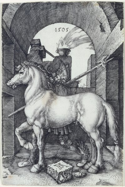 The Small Horse by Albrecht Dürer