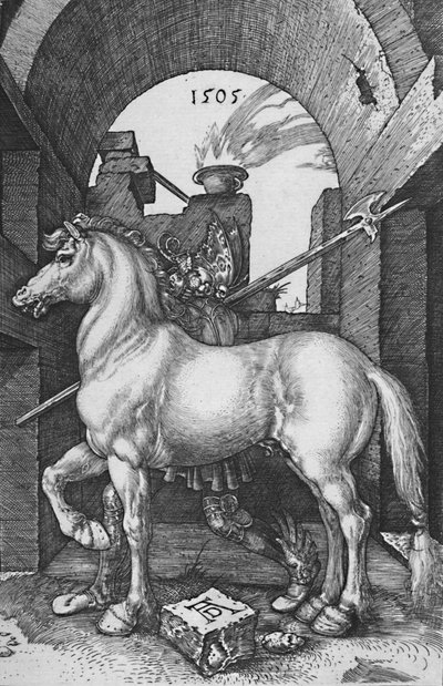 The Small Horse by Albrecht Dürer