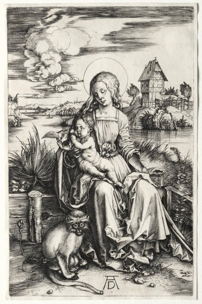 The Virgin and Child with a Monkey by Albrecht Dürer