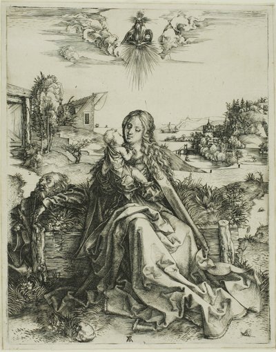 The Virgin with the Dragonfly by Albrecht Dürer