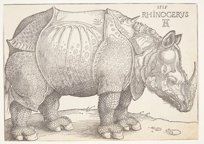 The rhinoceros by Albrecht Dürer