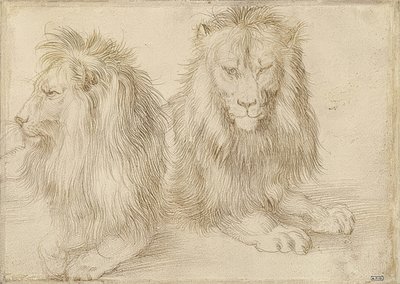 Two Reclining Lions by Albrecht Dürer