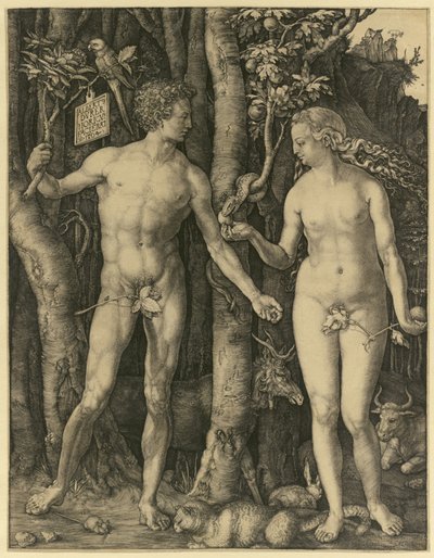 Adam and Eve by Albrecht Dürer