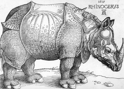 Rhinoceros by Albrecht Dürer
