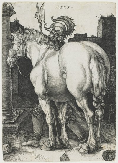 The Great Horse by Albrecht Dürer