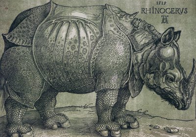 The Rhinoceros by Albrecht Dürer