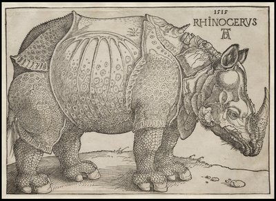 The Rhinoceros by Albrecht Dürer