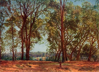 In the Aricci Park by Aleksandr Ivanov