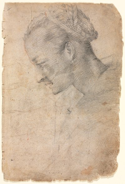 Profile of a Woman