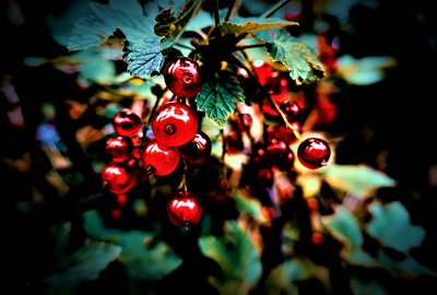 Untitled by Alex Caminker