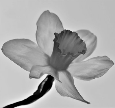 Untitled by Alex Caminker