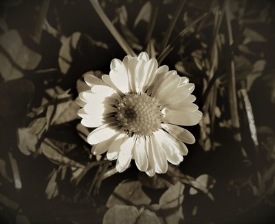 Untitled by Alex Caminker