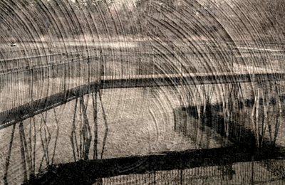 Invisible by Alex Caminker