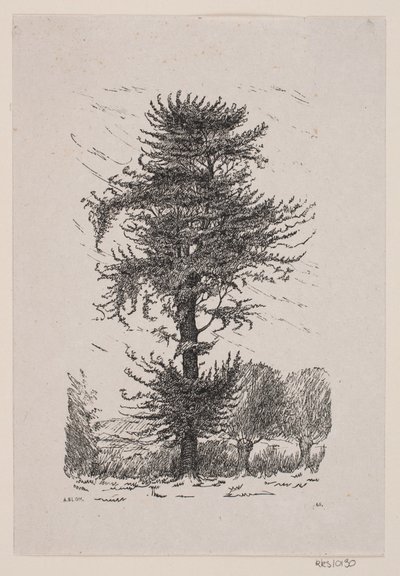 Oak at Guldberg by Alexander Blom