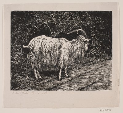 A Billy Goat by Alexander Blom