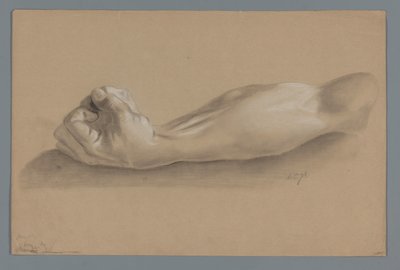 Plaster Model of an Arm with a Clenched Fist by Alexander Cranendoncq