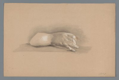Plaster Model of a Hand by Alexander Cranendoncq