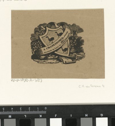 Coat of Arms of the Cranendoncq Family by Alexander Cranendoncq