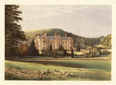Mamhead, Devon, England, 1880 (engraving) by Alexander Francis (after) Lydon