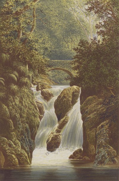 Rydal, Lower Fall by Alexander Francis Lydon