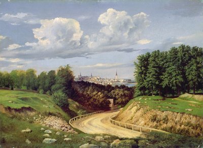 View of Tallinn by Alexander Georg Schlater