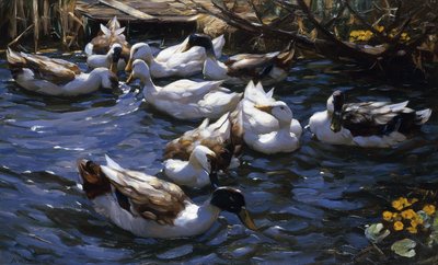 Ducks in the Reeds under the Boughs by Alexander Koester