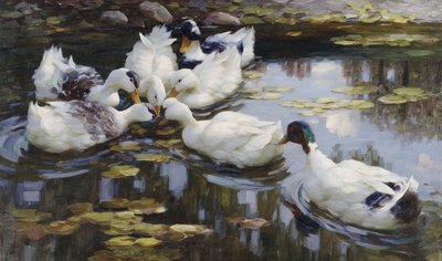 The Duck Pond by Alexander Koester